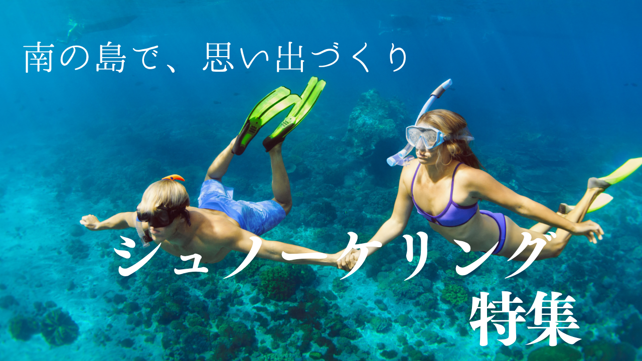 アマミブルーの海
