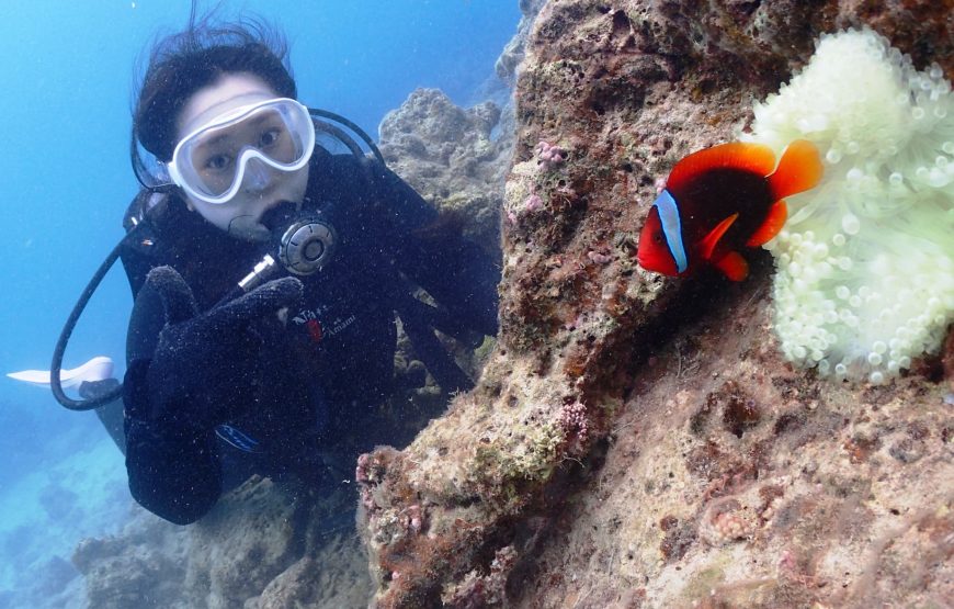 【ビーチ体験ダイビング】持ち物は水着とビーチサンダルだけ！（シャワー・更衣室・ドライヤー・タオル完備）