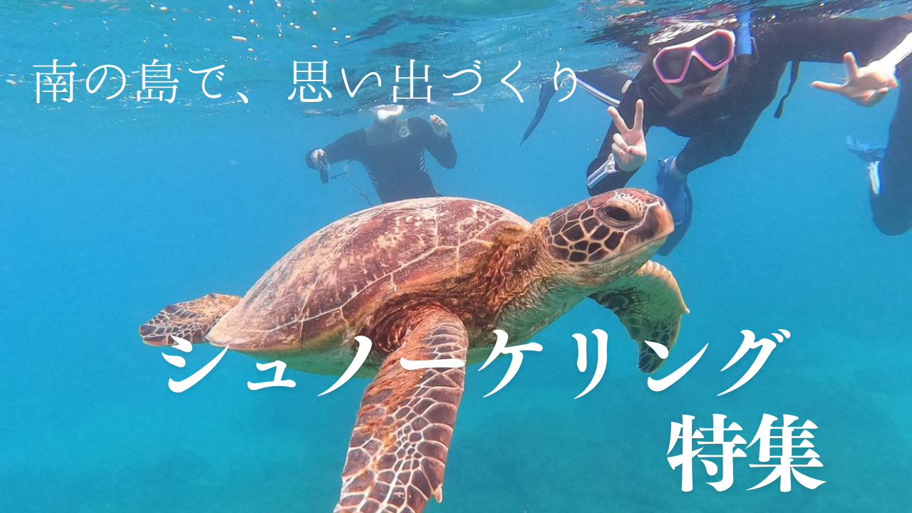 https://tabisuru-usagi.com/feature-snorkeling
