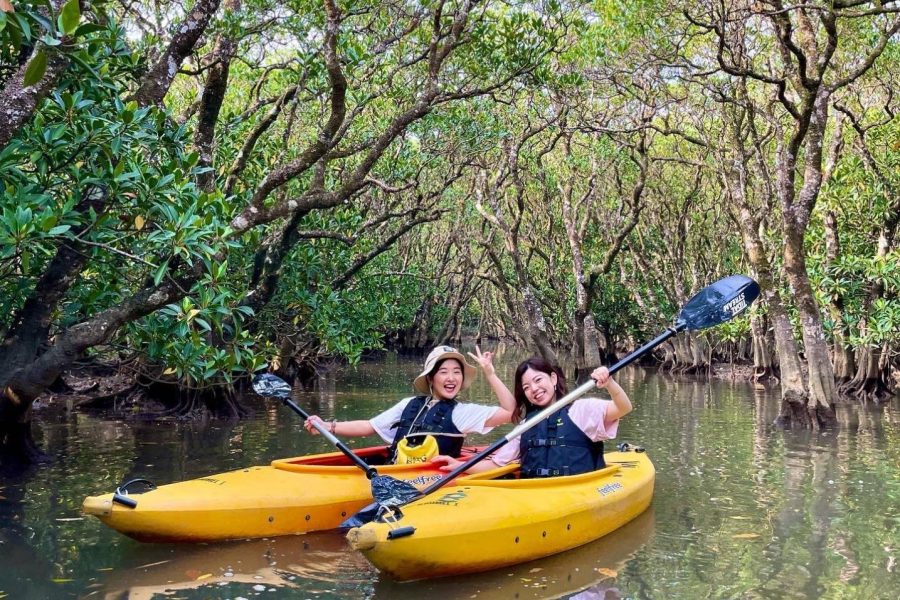 奄美大島の1組限定マングローブカヌー体験