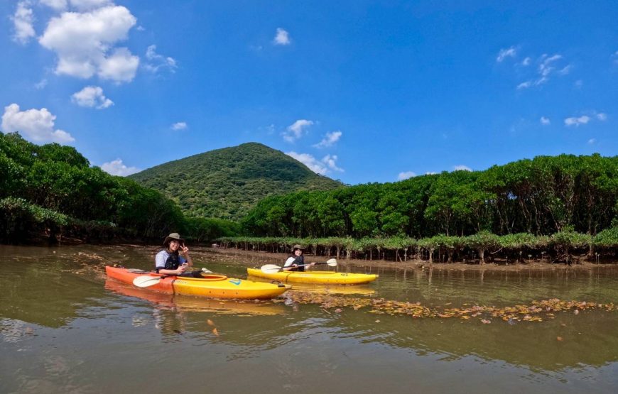奄美大島の1組限定マングローブカヌー体験