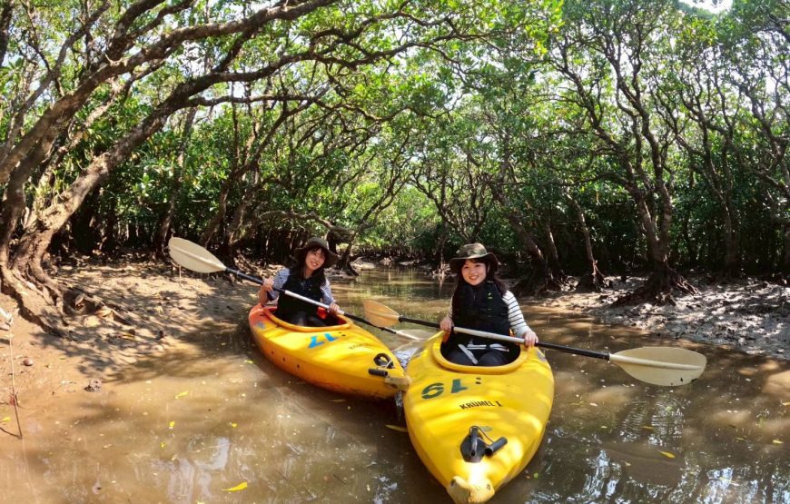 奄美大島の1組限定マングローブカヌー体験