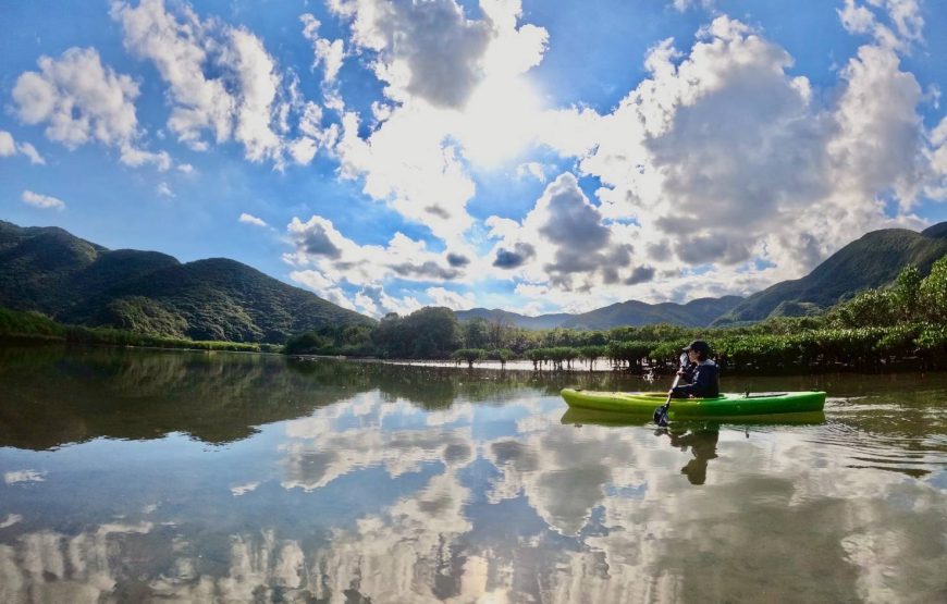 奄美大島の1組限定マングローブカヌー体験