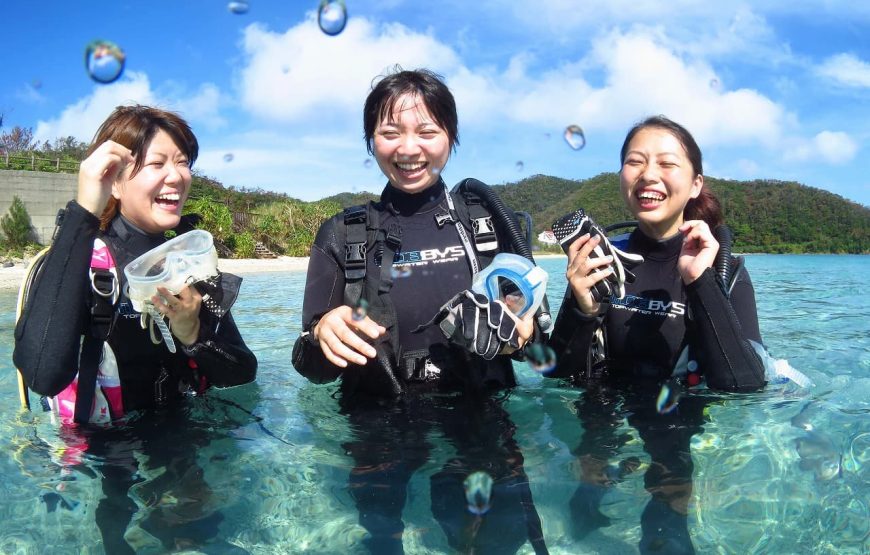 【奄美大島】半日ビーチ体験ダイビングコース