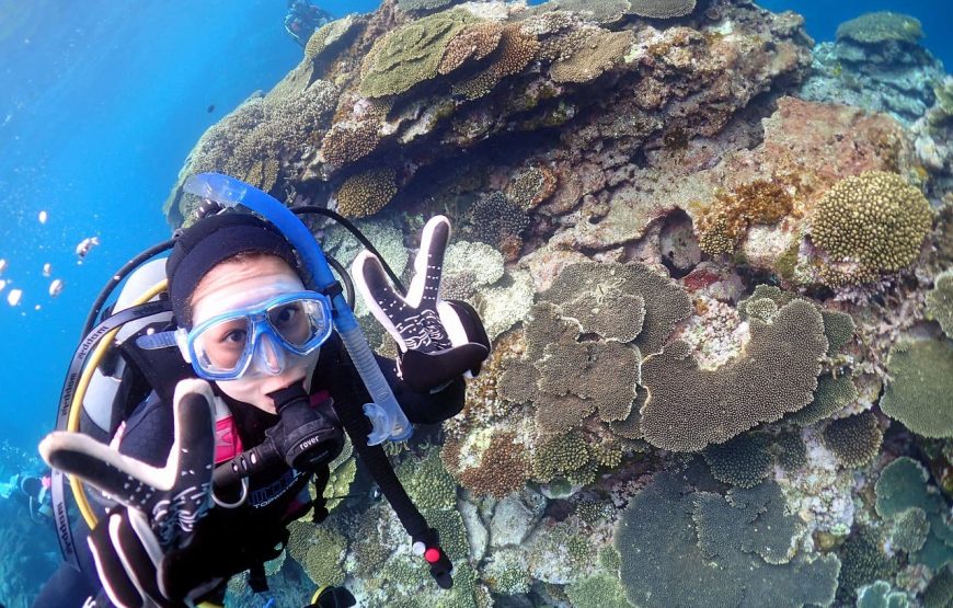 【奄美大島】半日ビーチ体験ダイビングコース