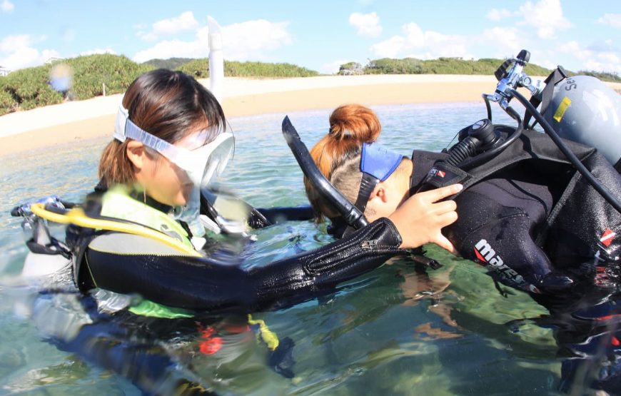 【奄美大島】半日ビーチ体験ダイビングコース
