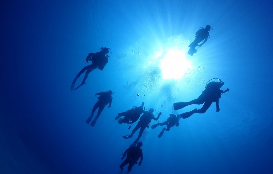 【Cカード保持者向け】奄美北部ファンダイビングコース