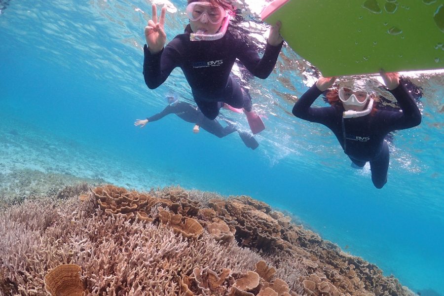 【奄美大島】ウミガメ探検シュノーケルコース