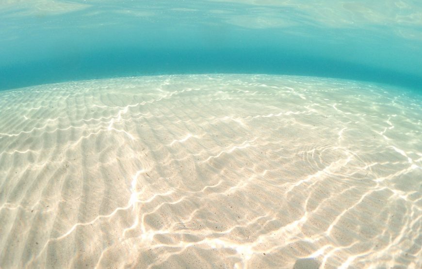 【奄美大島】ウミガメ探検シュノーケルコース