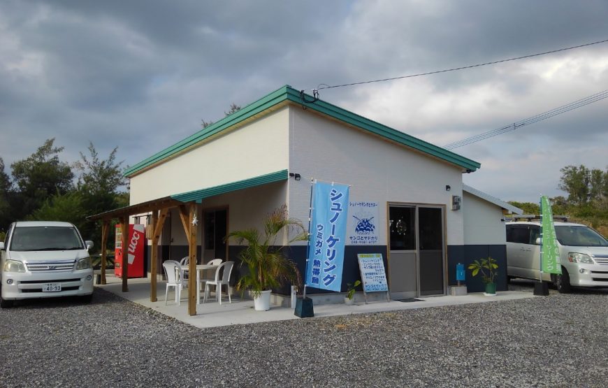 亜熱帯の森アマミノクロウサギナイトツアー