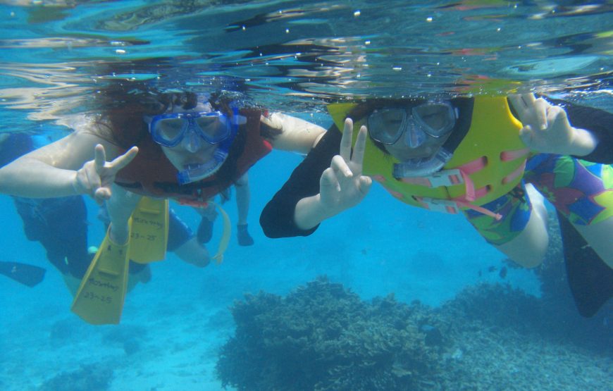 ウミガメ遭遇率99％シュノーケリングとマングローブ探検カヌー