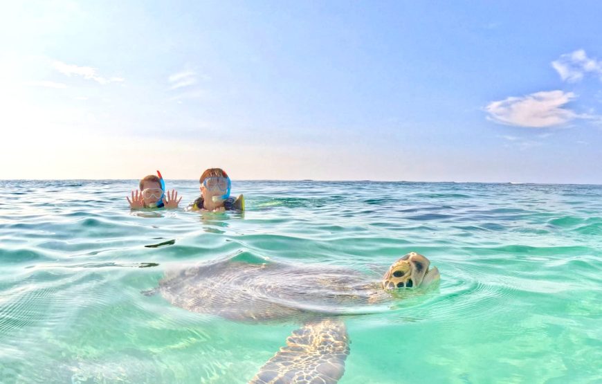 【ウミガメと泳ぐビーチシュノーケル】撮影した写真はその場でプレゼント！持ち物は水着とビーチサンダルだけ！（シャワー・更衣室・ドライヤー・タオル完備）