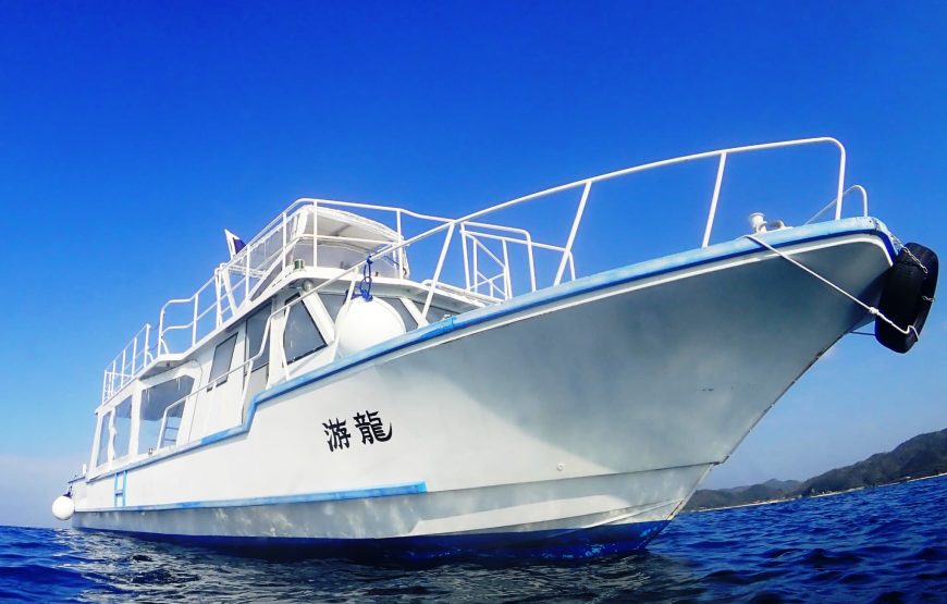 遭遇率95％以上！ザトウクジラに会いに行こう！【期間限定】ホエールウォッチング半日ツアー