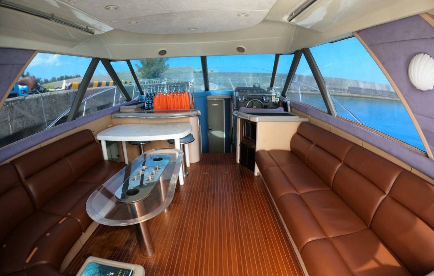 豪華クルーザーで行く、オンショアだけの特別なホエールウオッチング！