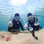 fun-diving-nativesea05