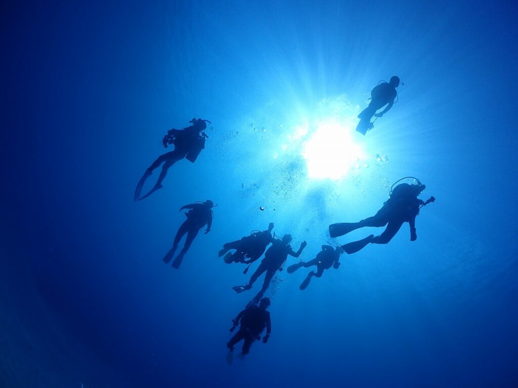fun-diving-neverland08