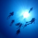 fun-diving-neverland08