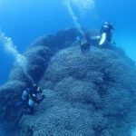 fun-diving01