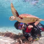 neverland-beginner-diving03