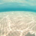 neverland-umigame-snorkeling012jpg
