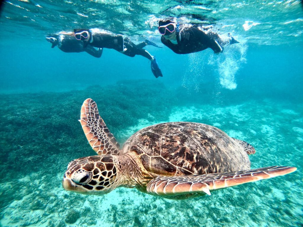 snorkeling-onshore01