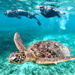 snorkeling-onshore01