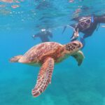 snorkeling-onshore02