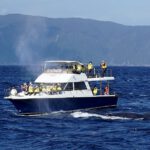 whale-watching-marinesportsamami06